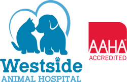Logo for Westside Animal Hospital featuring a blue cat and dog inside a heart outline, highlighting their trusted veterinarian care next to a red AAHA Accredited emblem, indicating the hospital's accreditation.